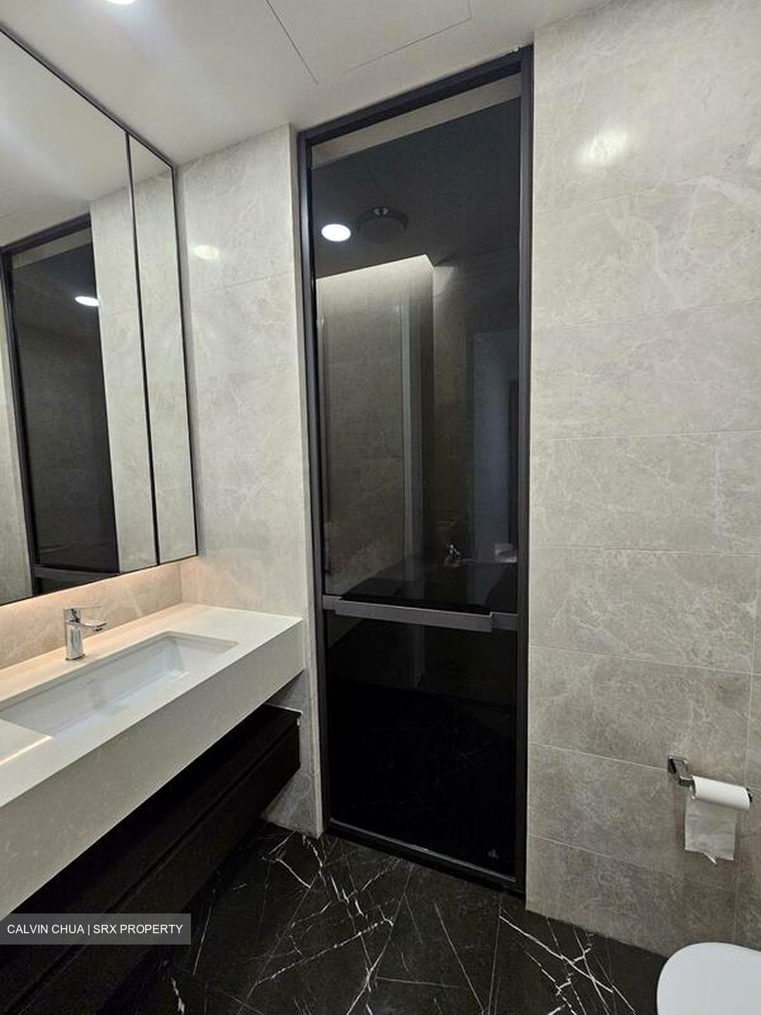Amber Park (D15), Condominium #495895611